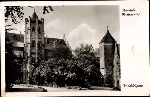 Ak Mansfeld im Harzvorland, Im Schlosspark