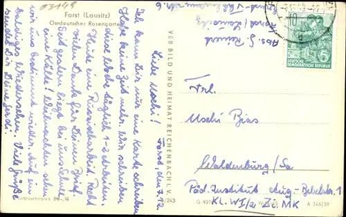 Ak Forst in der Niederlausitz, Ostdeutscher Rosengarten