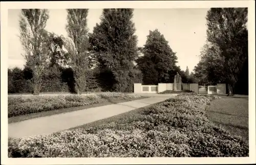 Ak Forst in der Niederlausitz, Ostdeutscher Rosengarten