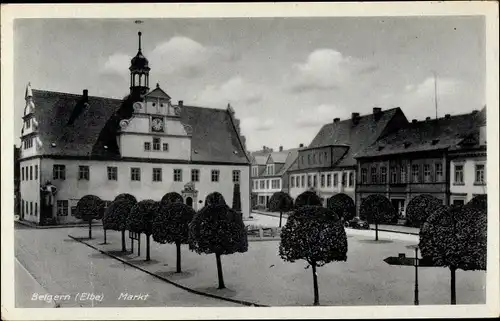 Ak Belgern Schildau Nordsachsen, Markt