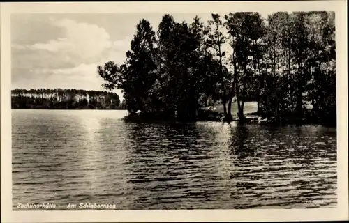 Ak Zechlinerhütte Rheinsberg Mark, Schlabornsee