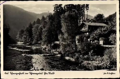 Ak Schwarzburg im Schwarzatal Thüringen, Schwarzatal, Schweizerhaus