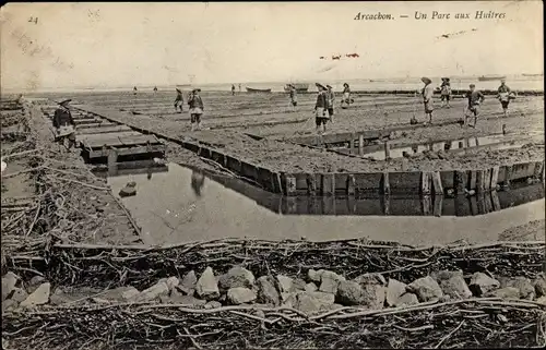 Ak Arcachon Gironde, Un Parc aux Huitres