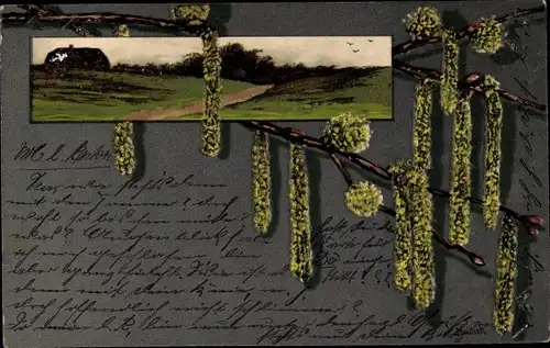 Künstler Litho Mailick, Landschaft, Haselzweige