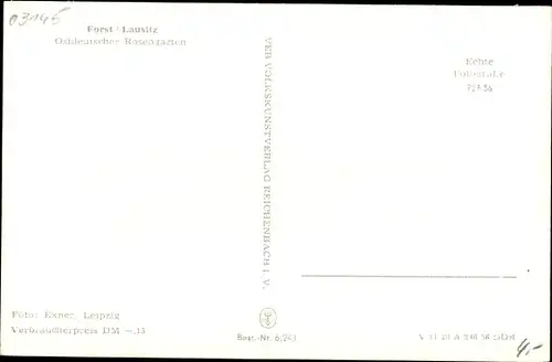 Ak Forst in der Niederlausitz, Ostdeutscher Rosengarten