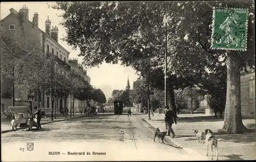 Ak Dijon Côte d'Or, Boulevard de Brosses, Hunde