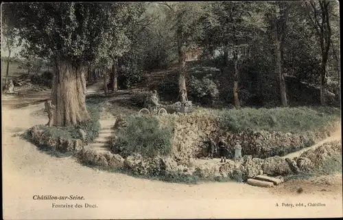 Ak Châtillon sur Seine Côte d’Or, Fontaine des Ducs