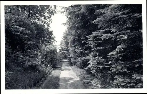 Ak Hamburg Nord Alsterdorf, Alsterdorfer Anstalten, Im Schwesterngarten, Lachmund