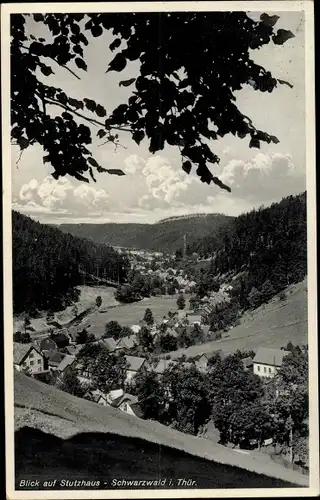 Ak Schwarzwald Stutzhaus Luisenthal Thüringen, Blick auf den Ort