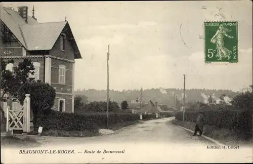 Ak Beaumont le Roger Eure, Route de Beaumesnil