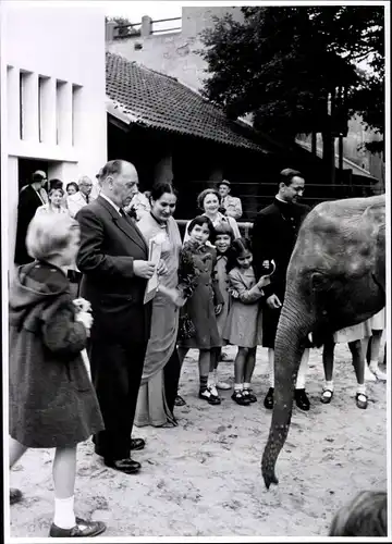 Foto Berlin Mitte, Bert Sass, Zoologischer Garten, Indischer Elefant im Gehege, Urkunde