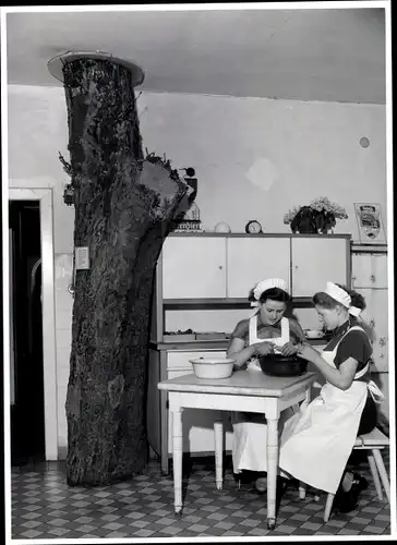 Foto Berlin, Bert Sass, Grüne Woche, Baum in Küche, Frauen schälen Kartoffeln, Bärenbier, Reichardt