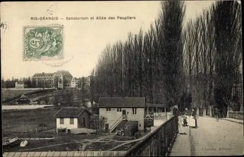 Ak Ris Orangis Essonne, Sanatorium et Allée des Peupliers