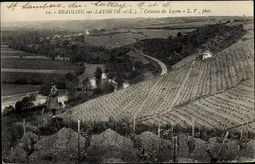 Ak Beaulieu sur Layon Maine et Loire, Coteaux du Layon