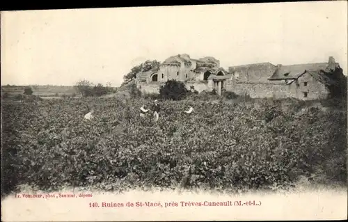 Ak Chenehutte les Tuffeaux Chênehutte Trèves Cunault, Ruines de St. Macé