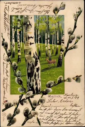 Künstler Litho Mailick, Reh umgeben von Birken, Weidenkätzchen
