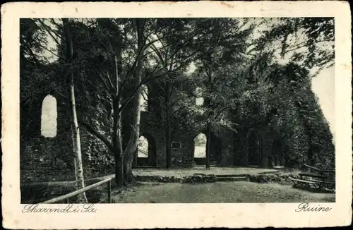 Ak Tharandt im Erzgebirge, Ruine