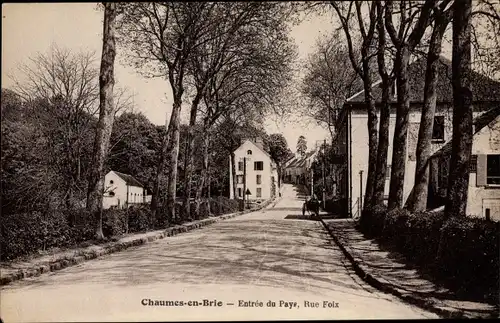 Ak Chaumes en Brie Seine et Marne, Entrée du Pays, Rue Foix