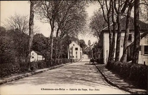 Ak Chaumes en Brie Seine et Marne, Entrée du Pays, Rue Foix