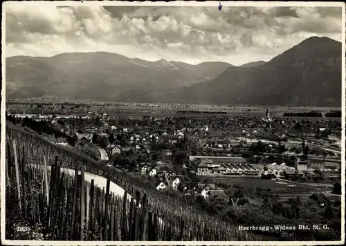 Ak Heerbrugg Widnau St. Gallen Schweiz, Panorama vom Ort