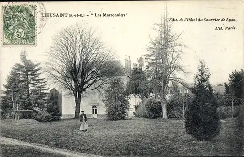 Ak Lieusaint Seine et Marne, Les Marronniers