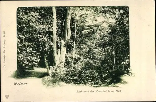 Ak Weimar in Thüringen, Naturbrücke im Park