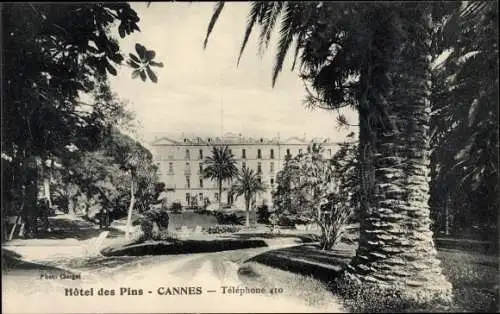 Ak Cannes Alpes Maritimes, Hotel des Pins