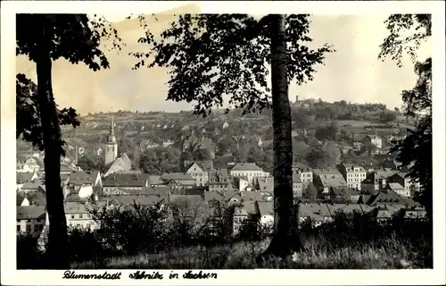 Foto Ak Sebnitz Sachsen, Durchblick zur Stadt