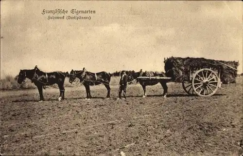 Ak Französische Eigenarten, Fuhrwerk, Dreispänner