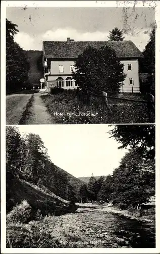 Ak Sieber Herzberg am Harz in Niedersachsen, Waldhotel und Pensionshaus Zum Paradies