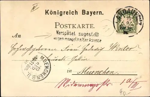 Litho Landau in der Pfalz, Madenburg, Gleisweiler, Trifels, Ortschaft