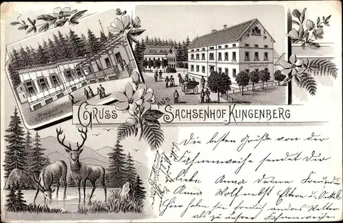 Litho Klingenberg im Erzgebirge Sachsen, Dresdner Sommerheim, Sachsenhof, Hirsche