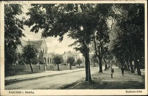 Ak Parchim in Mecklenburg Vorpommern, Buchholzallee