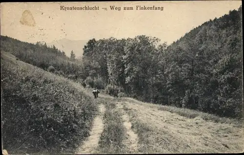 Ak Kreischa im Erzgebirge, Kroatenschlucht, Weg zum Finkenfang