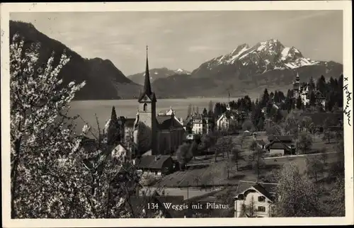 Ak Weggis Kanton Luzern, Ort mit Pilatus