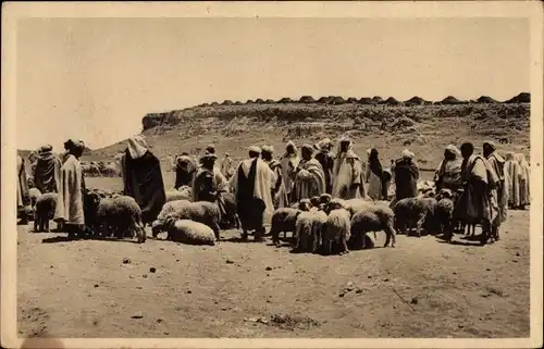 Ak Marokko, Marche aux moutons dans l'Atlas