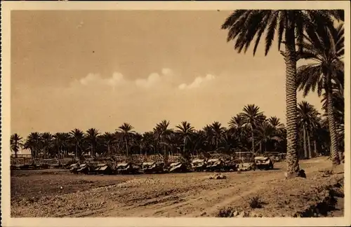 Ak Biskra Algerien, Materiel Agricol