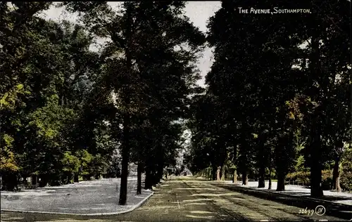 Ak Southampton South East England, The Avenue