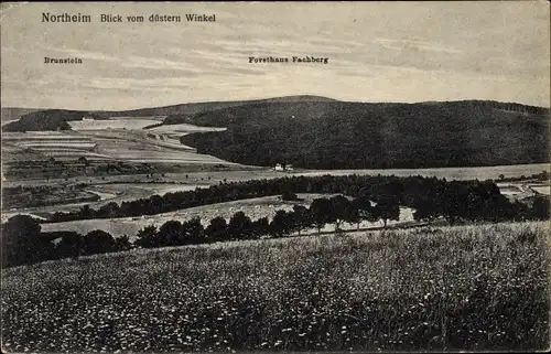 Ak Northeim in Niedersachsen, Panorama, Brunstein, Forsthaus Fachberg