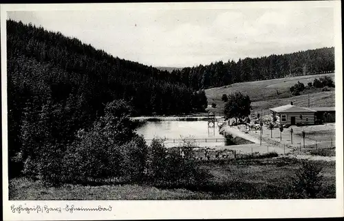 Ak Hohegeiß Braunlage im Oberharz, Schwimmbad