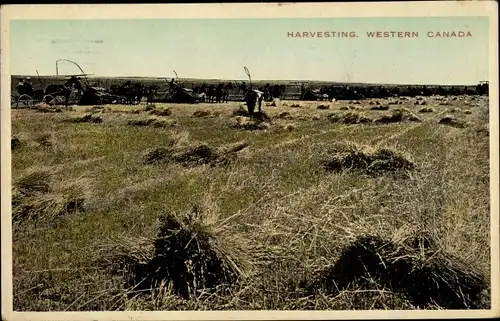 Ak Kanada, Harvesting, western Canada, Feld, Landwirtschaft