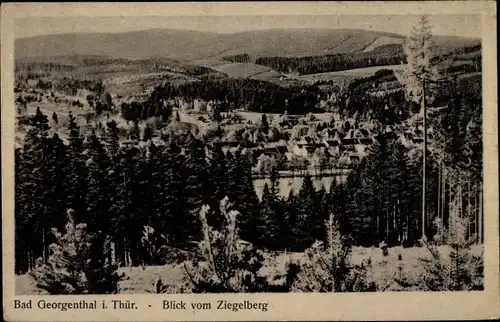 Ak Georgenthal in Thüringen, Blick vom Ziegelberg
