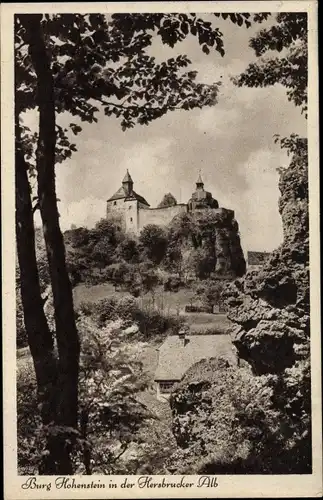 Ak Hersbruck in Mittelfranken, Burg Hohenstein