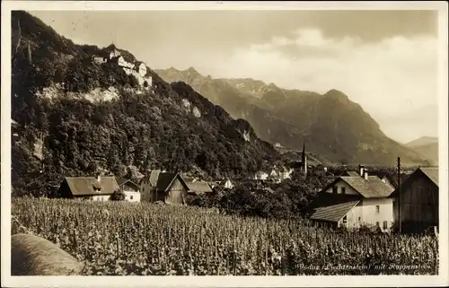 Ak Vaduz Liechtenstein, Panorama vom Ort mit Rappenstein