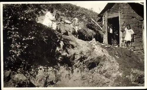 Ak Brasilien, Einheimische Arbeiter auf einer Plantage