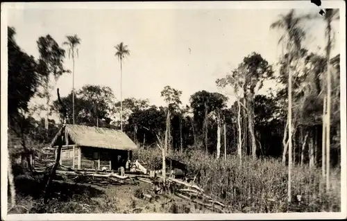 Foto Ak Brasilien, Kolonistenheim im Urwald