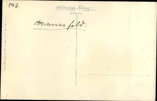 Ak Brasilien, Cultura de abacaxis, Ananasfelder