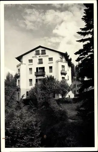 Ak Weggis Kanton Luzern, Hotel Belvedere