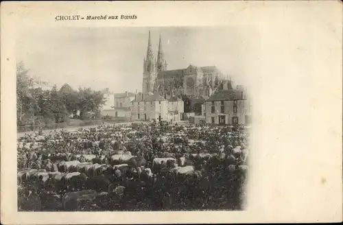 Ak Cholet Maine et Loire, Marché aux Boeufs, Église