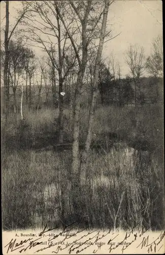 Ak Verneuil-sur-Seine Yvelines, Am Teich